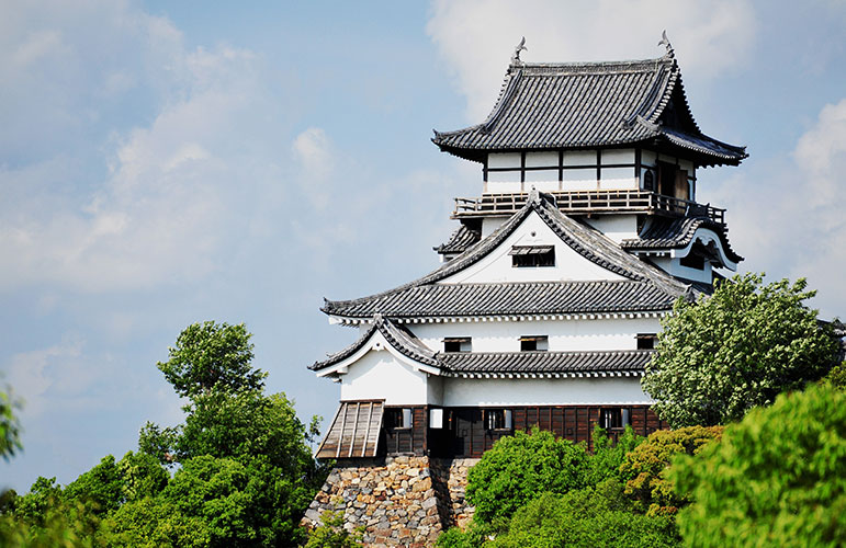 National treasure Inuyama Castle image